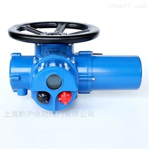 DZW20-18-24-36执行器 阀门电动装置 DZW30T-24电装