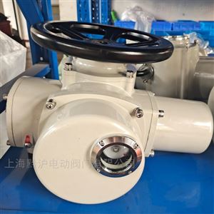 Z型閥門電動執行器