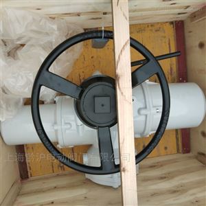 IQ20F14多回转进口罗托克阀门执行器IQ20